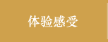 体验感受